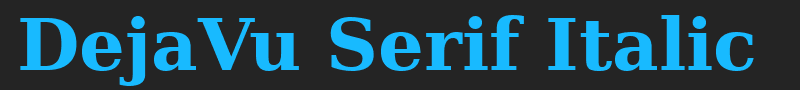 DejaVu Serif Italic font